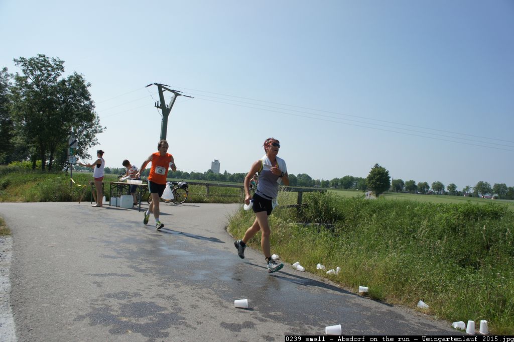 0239 small - Absdorf on the run - Weingartenlauf 2015.jpg