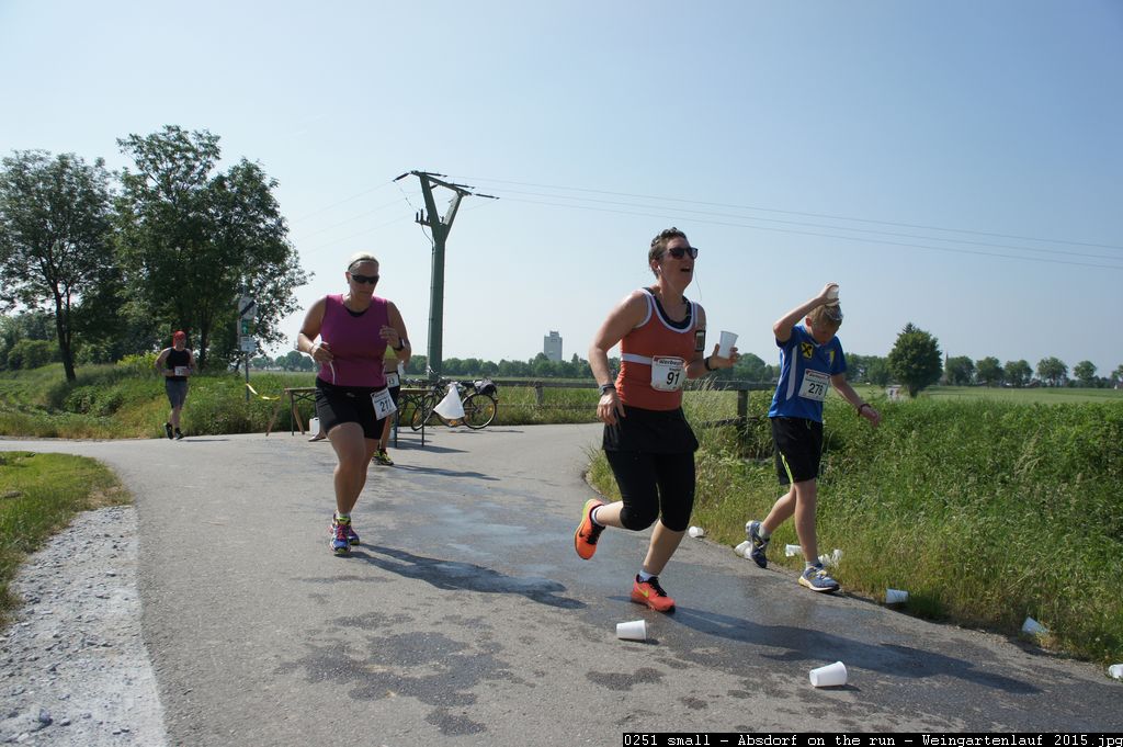 0251 small - Absdorf on the run - Weingartenlauf 2015.jpg