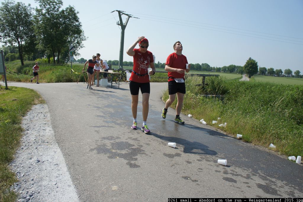 0261 small - Absdorf on the run - Weingartenlauf 2015.jpg