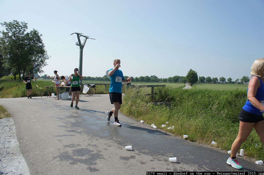 0270 small - Absdorf on the run - Weingartenlauf 2015.jpg