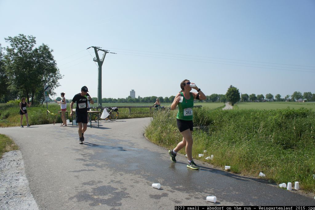0273 small - Absdorf on the run - Weingartenlauf 2015.jpg
