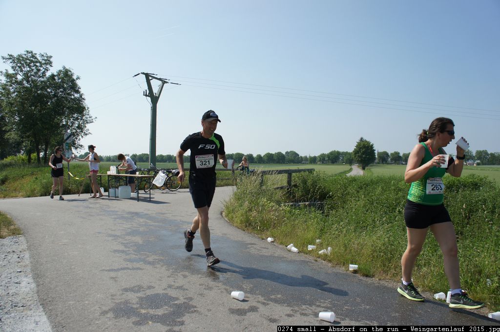 0274 small - Absdorf on the run - Weingartenlauf 2015.jpg