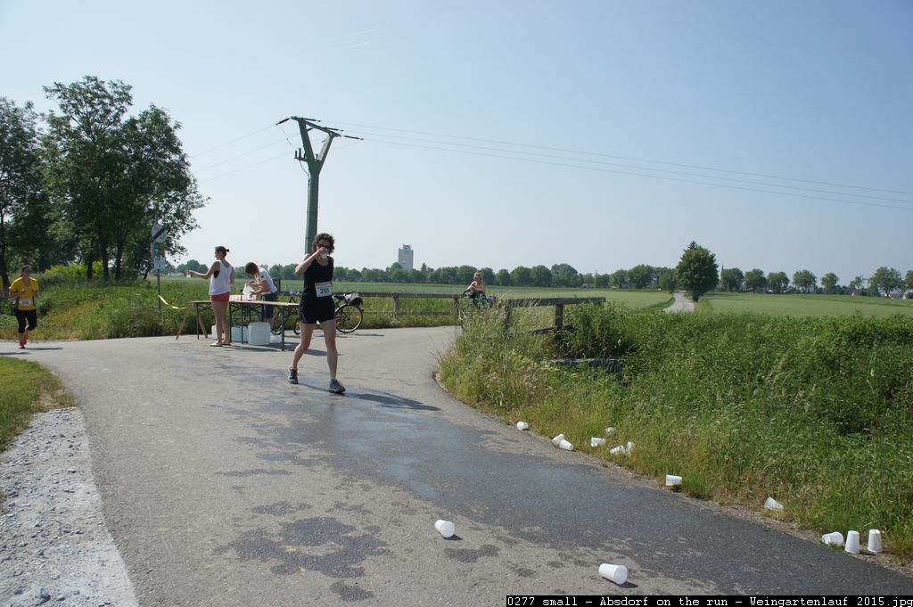 0277 small - Absdorf on the run - Weingartenlauf 2015.jpg
