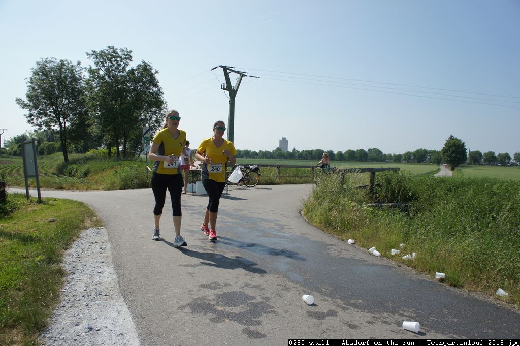 0280 small - Absdorf on the run - Weingartenlauf 2015.jpg