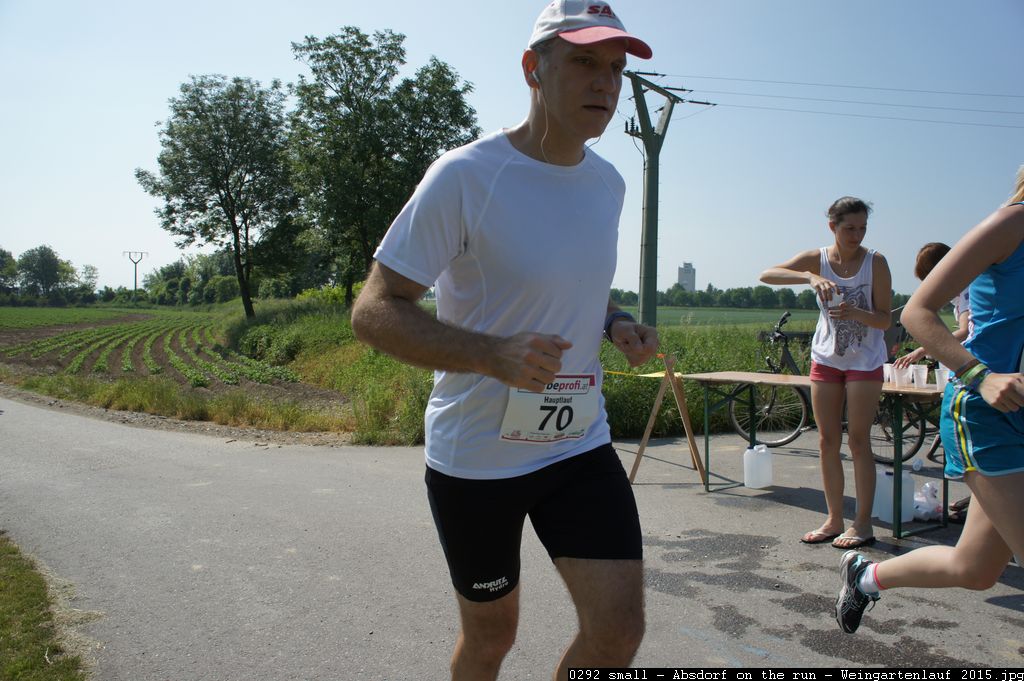 0292 small - Absdorf on the run - Weingartenlauf 2015.jpg