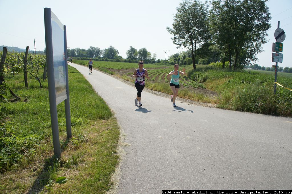 0294 small - Absdorf on the run - Weingartenlauf 2015.jpg