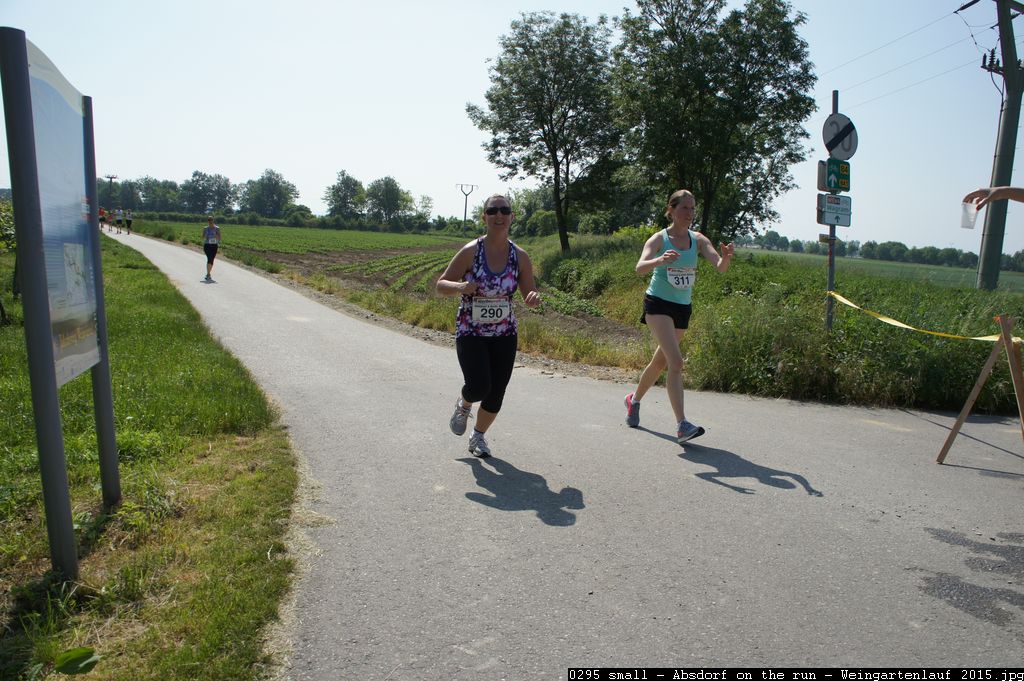 0295 small - Absdorf on the run - Weingartenlauf 2015.jpg