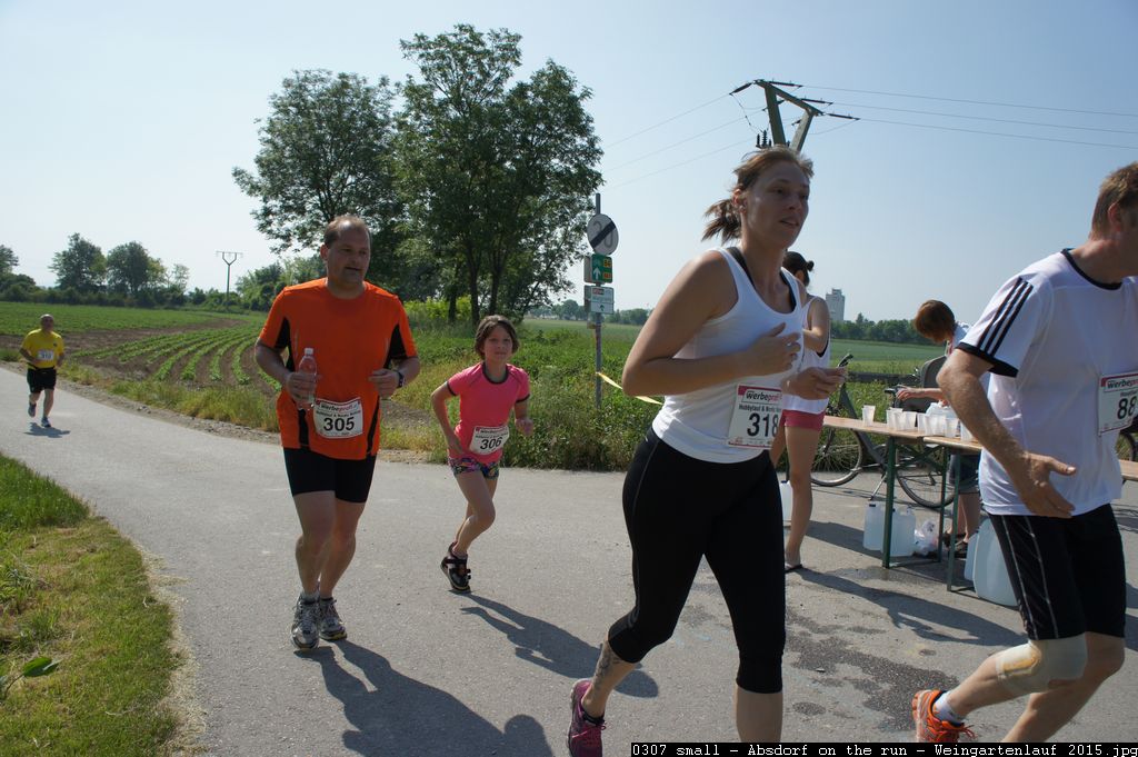 0307 small - Absdorf on the run - Weingartenlauf 2015.jpg