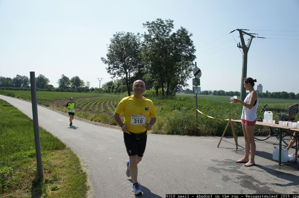 0310 small - Absdorf on the run - Weingartenlauf 2015.jpg