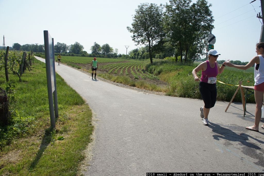 0318 small - Absdorf on the run - Weingartenlauf 2015.jpg
