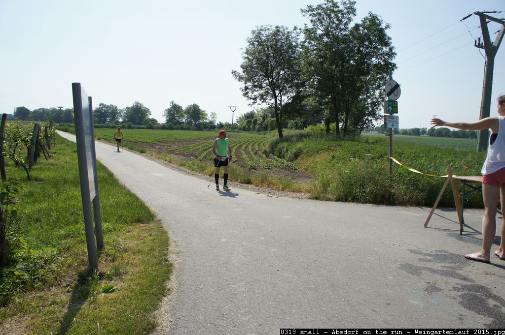 0319 small - Absdorf on the run - Weingartenlauf 2015.jpg