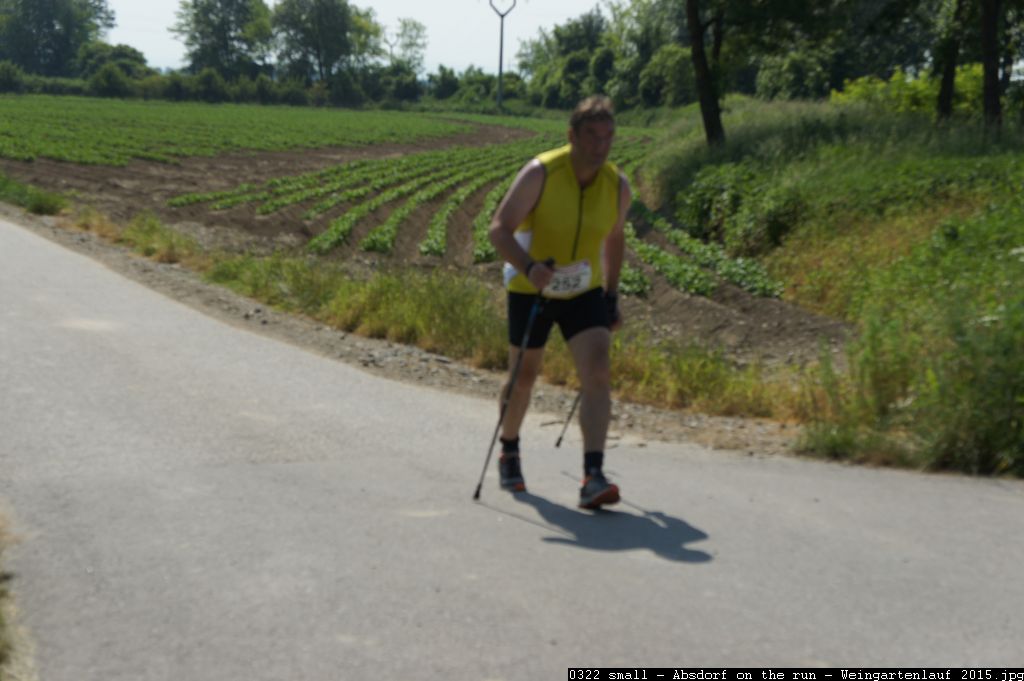 0322 small - Absdorf on the run - Weingartenlauf 2015.jpg