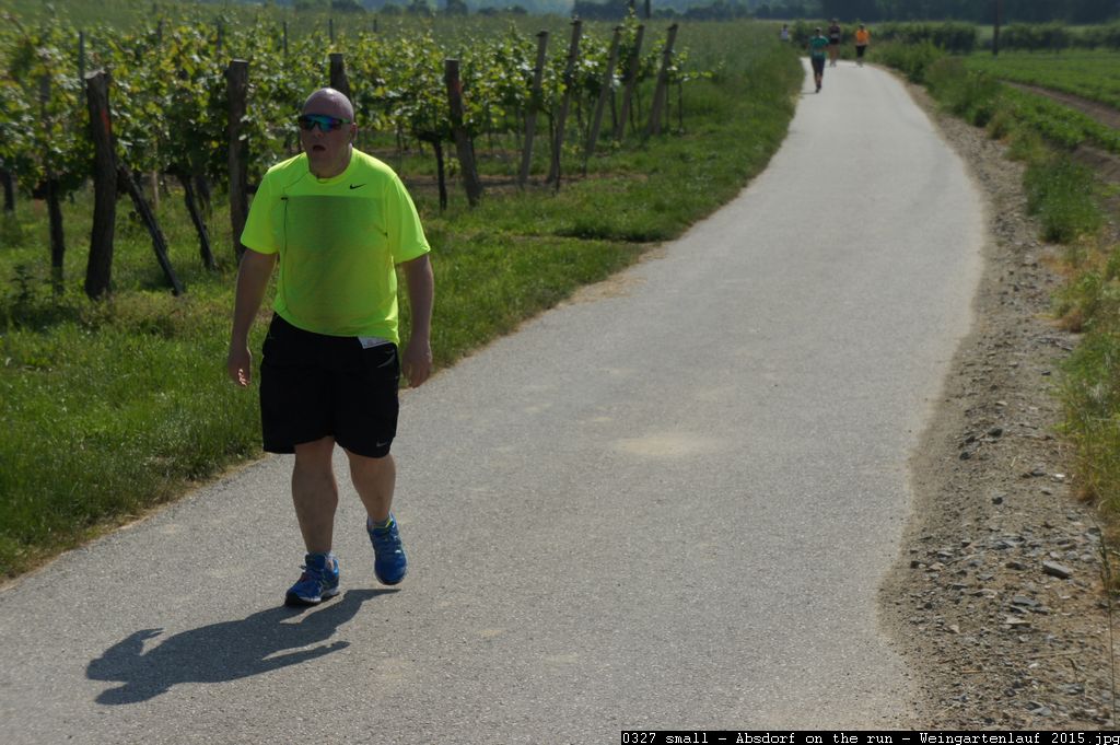0327 small - Absdorf on the run - Weingartenlauf 2015.jpg