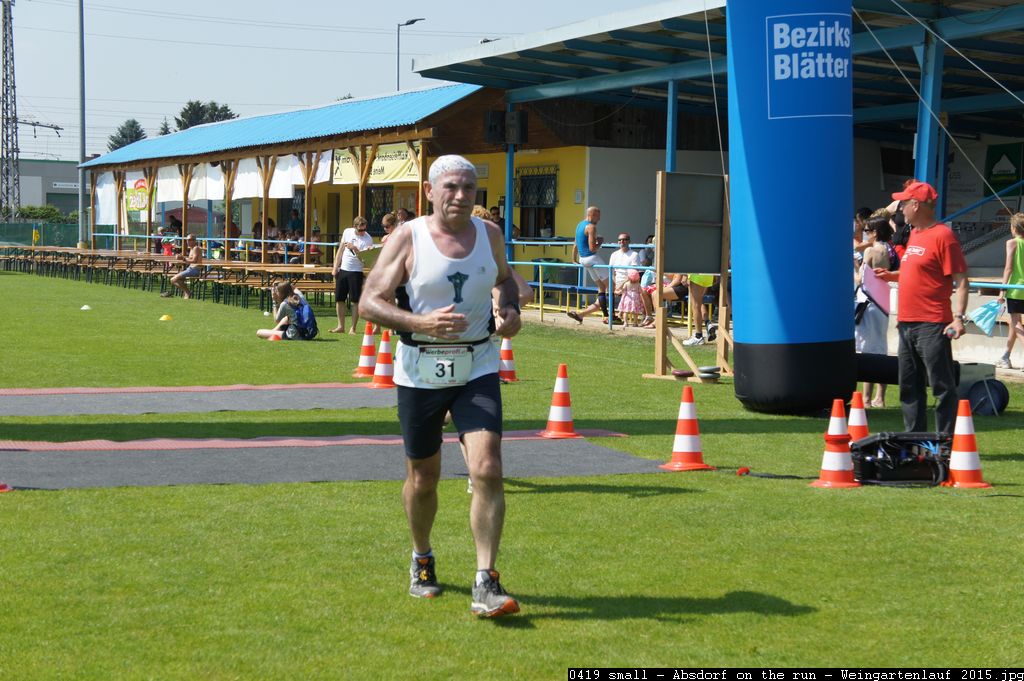 0419 small - Absdorf on the run - Weingartenlauf 2015.jpg