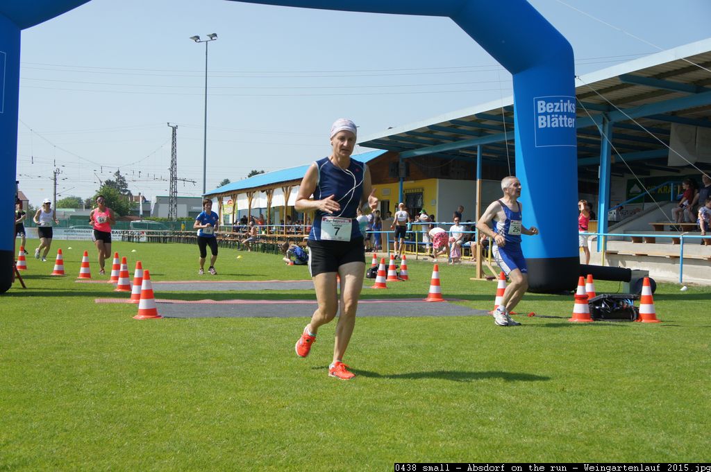 0438 small - Absdorf on the run - Weingartenlauf 2015.jpg