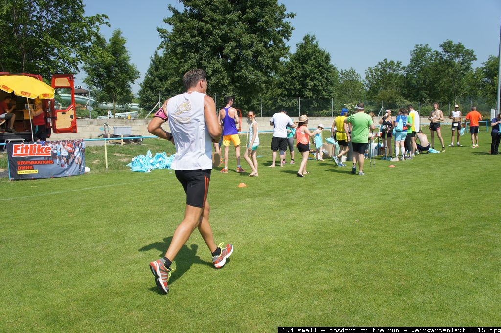 0694 small - Absdorf on the run - Weingartenlauf 2015.jpg
