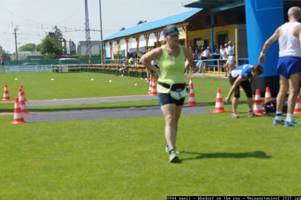 0844 small - Absdorf on the run - Weingartenlauf 2015.jpg