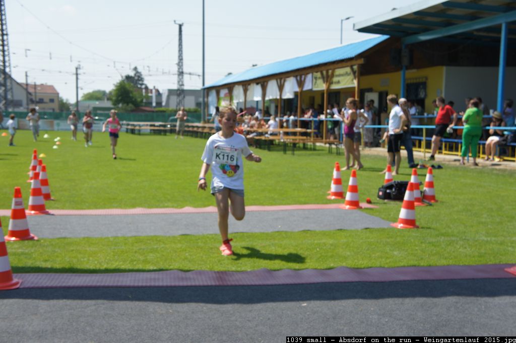 1039 small - Absdorf on the run - Weingartenlauf 2015.jpg