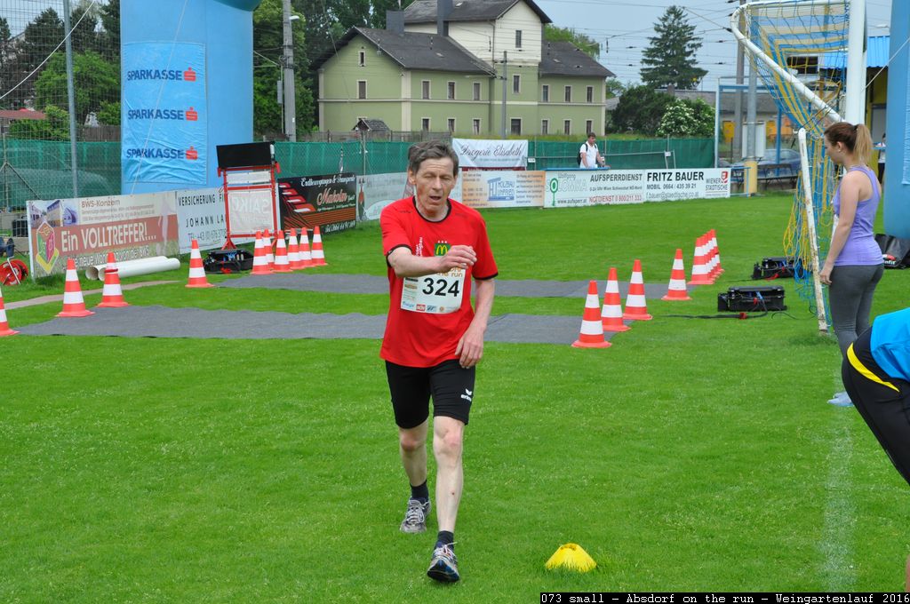 073 small - Absdorf on the run - Weingartenlauf 2016.jpg