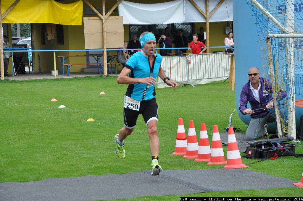 078 small - Absdorf on the run - Weingartenlauf 2016.jpg