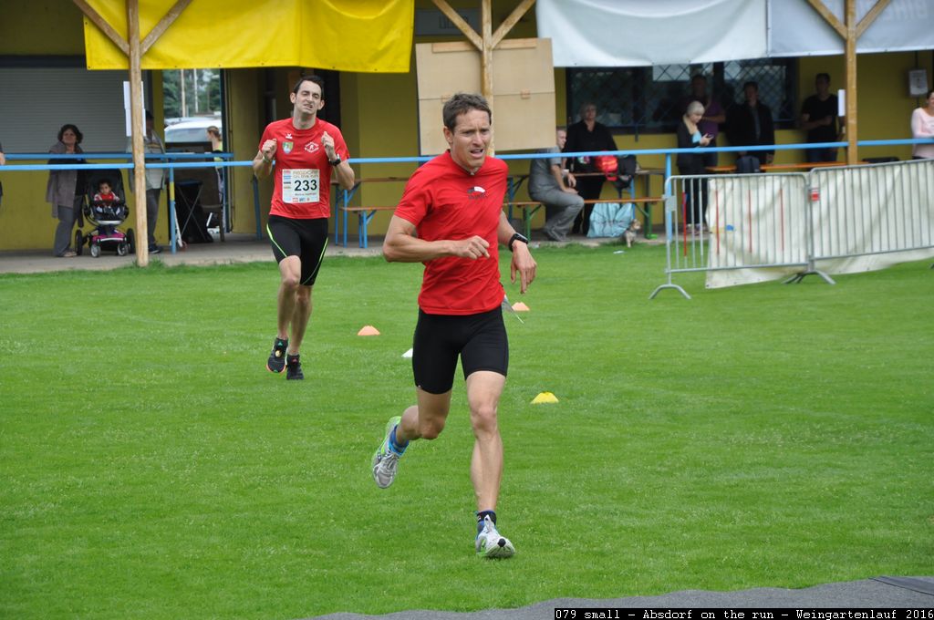 079 small - Absdorf on the run - Weingartenlauf 2016.jpg