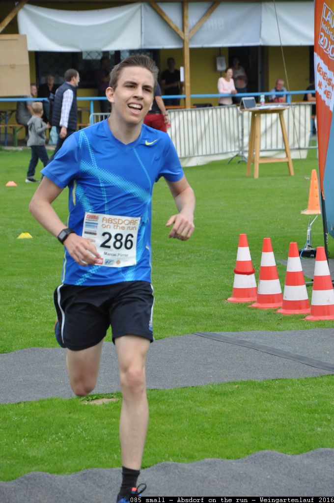 085 small - Absdorf on the run - Weingartenlauf 2016.jpg