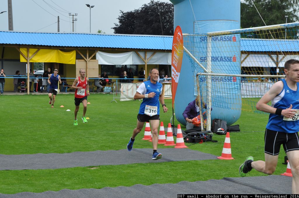 087 small - Absdorf on the run - Weingartenlauf 2016.jpg
