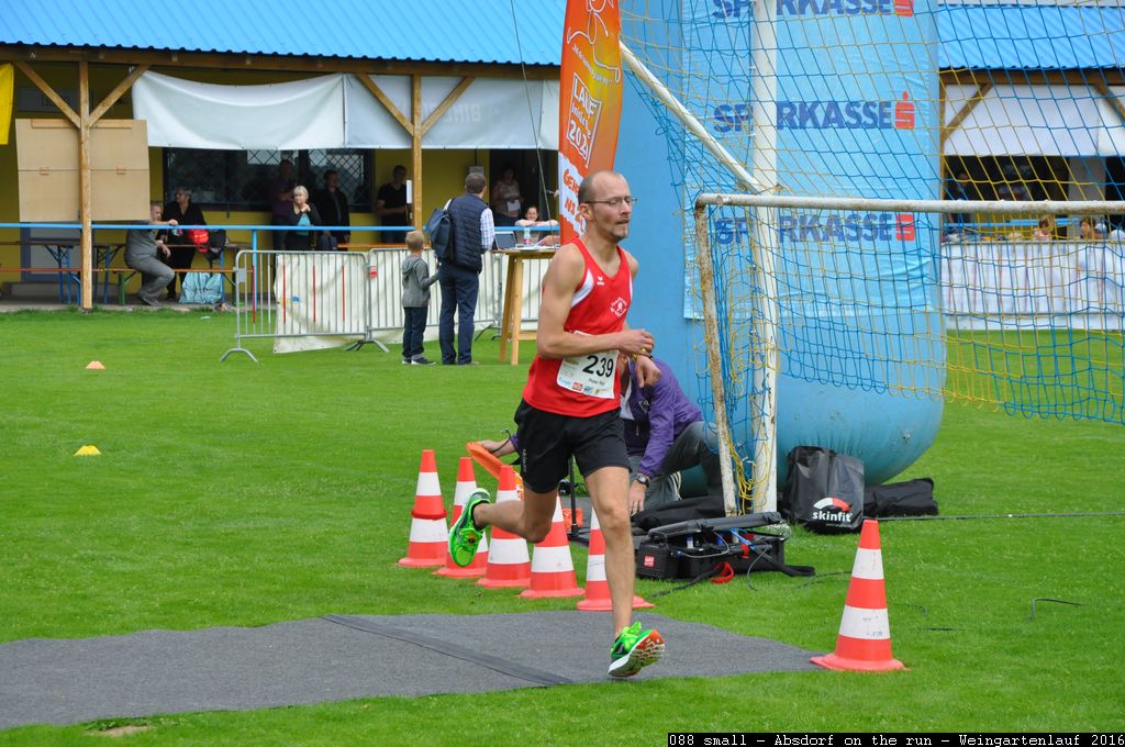 088 small - Absdorf on the run - Weingartenlauf 2016.jpg