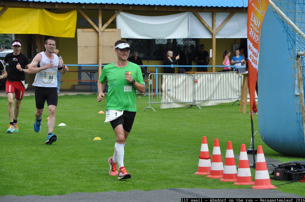 110 small - Absdorf on the run - Weingartenlauf 2016.jpg