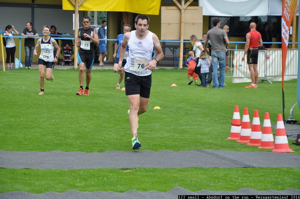 123 small - Absdorf on the run - Weingartenlauf 2016.jpg