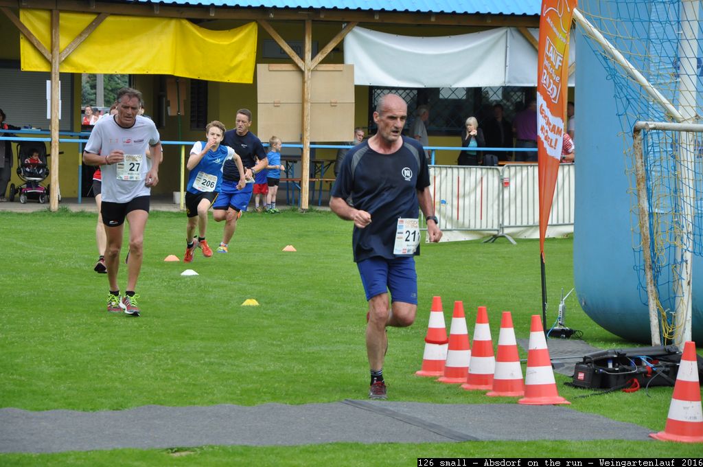 126 small - Absdorf on the run - Weingartenlauf 2016.jpg
