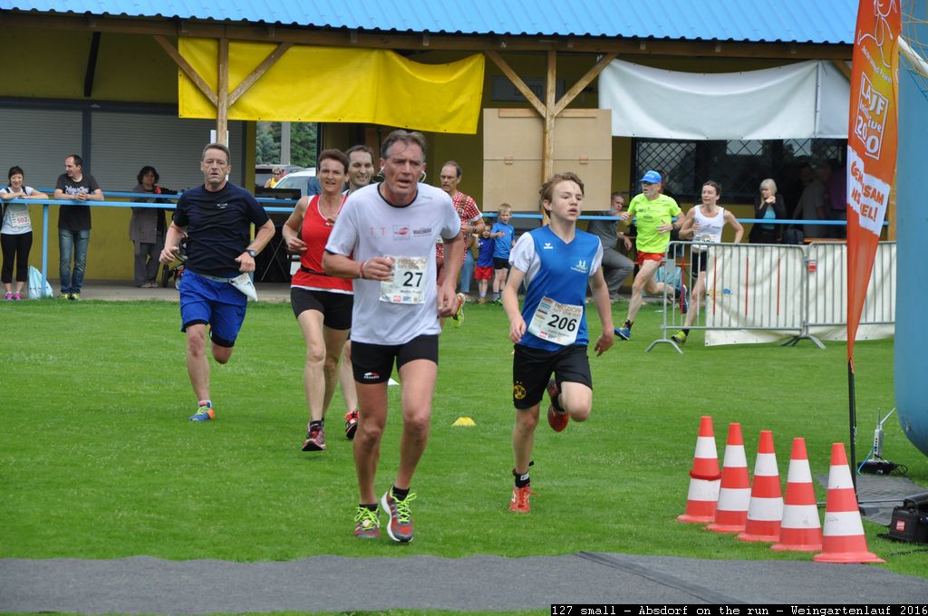 127 small - Absdorf on the run - Weingartenlauf 2016.jpg
