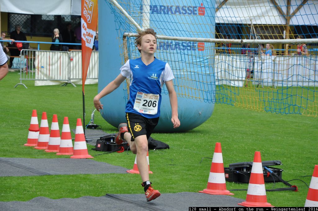 128 small - Absdorf on the run - Weingartenlauf 2016.jpg
