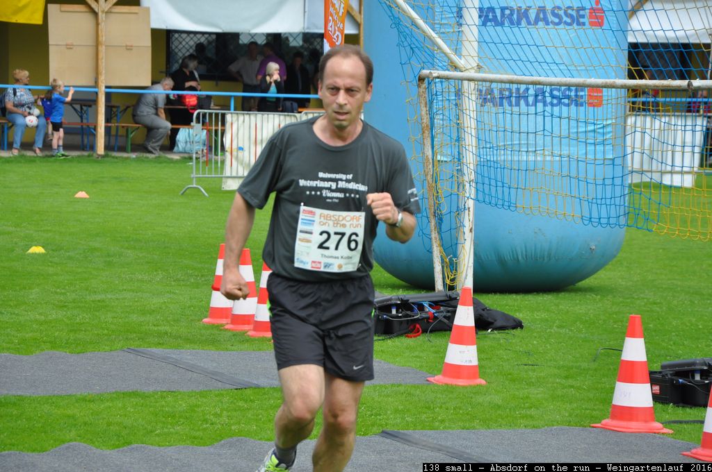 138 small - Absdorf on the run - Weingartenlauf 2016.jpg