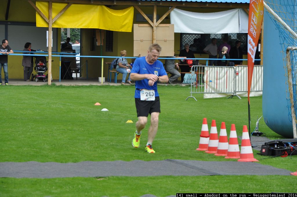 141 small - Absdorf on the run - Weingartenlauf 2016.jpg
