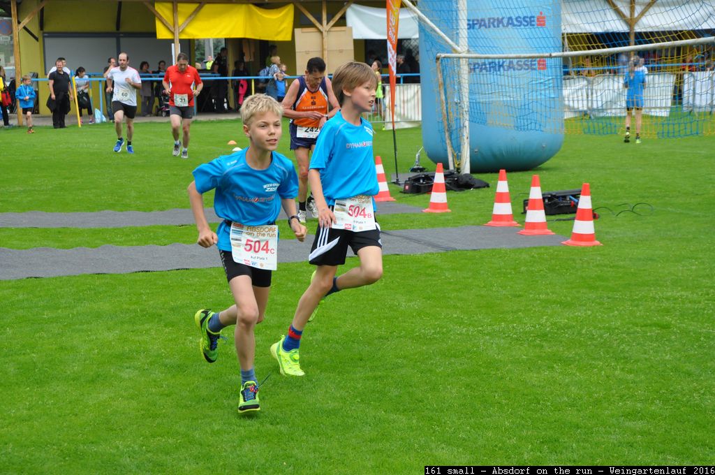 161 small - Absdorf on the run - Weingartenlauf 2016.jpg