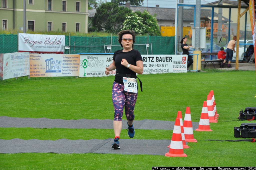 179 small - Absdorf on the run - Weingartenlauf 2016.jpg
