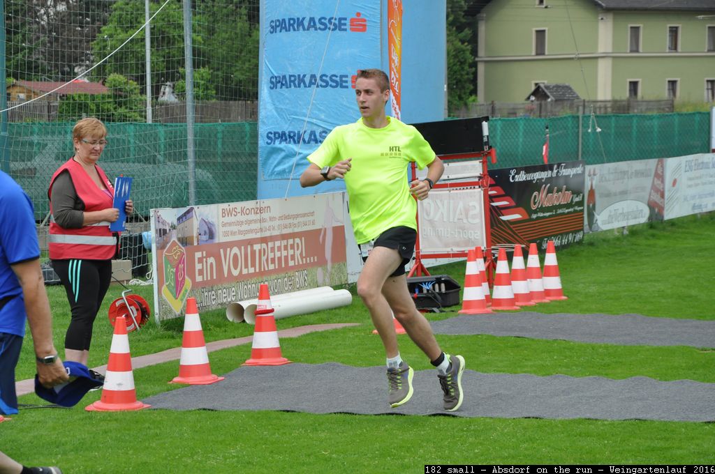 182 small - Absdorf on the run - Weingartenlauf 2016.jpg
