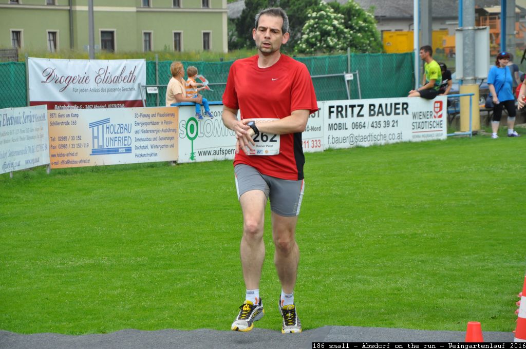186 small - Absdorf on the run - Weingartenlauf 2016.jpg