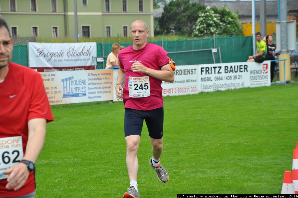 187 small - Absdorf on the run - Weingartenlauf 2016.jpg
