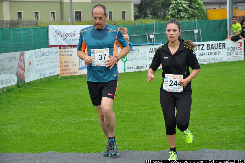 188 small - Absdorf on the run - Weingartenlauf 2016.jpg