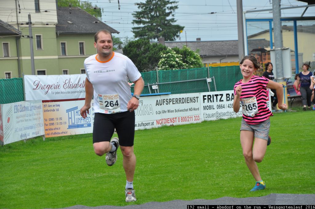 192 small - Absdorf on the run - Weingartenlauf 2016.jpg