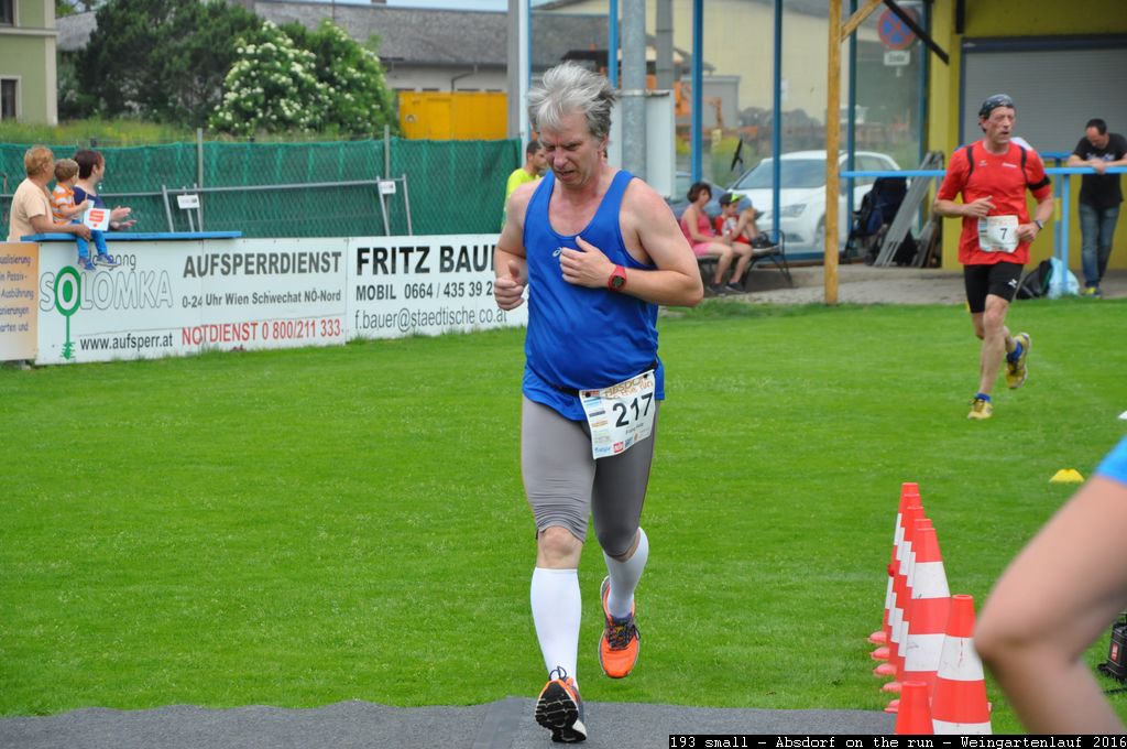 193 small - Absdorf on the run - Weingartenlauf 2016.jpg