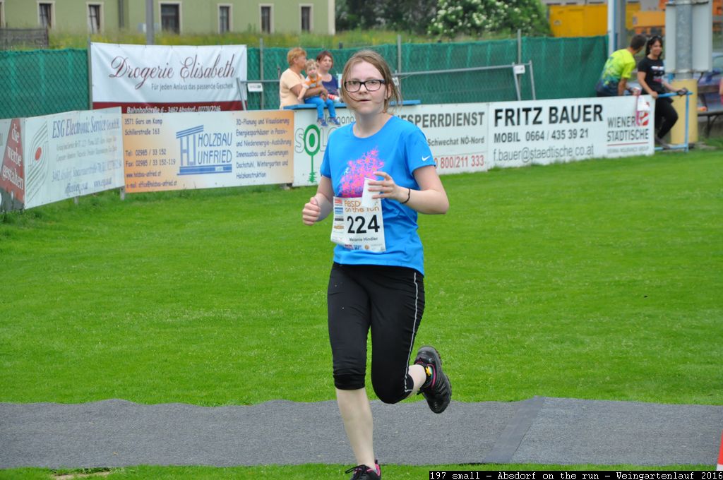 197 small - Absdorf on the run - Weingartenlauf 2016.jpg