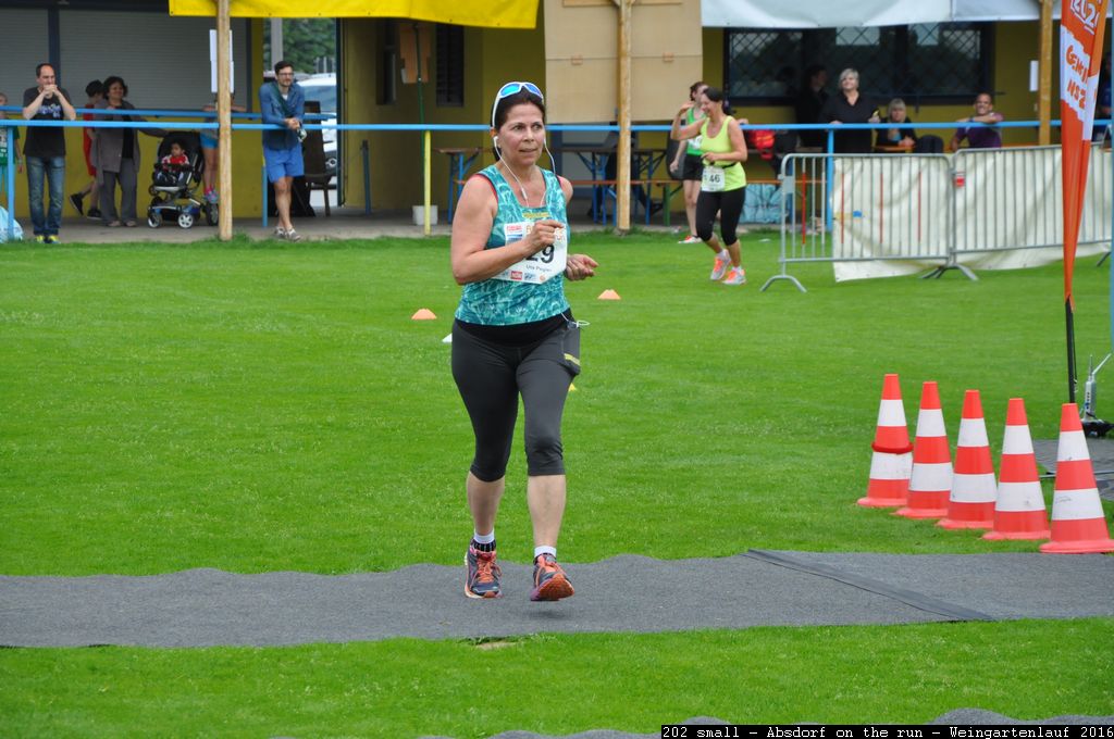 202 small - Absdorf on the run - Weingartenlauf 2016.jpg