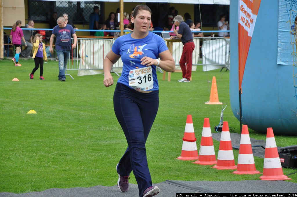 220 small - Absdorf on the run - Weingartenlauf 2016.jpg