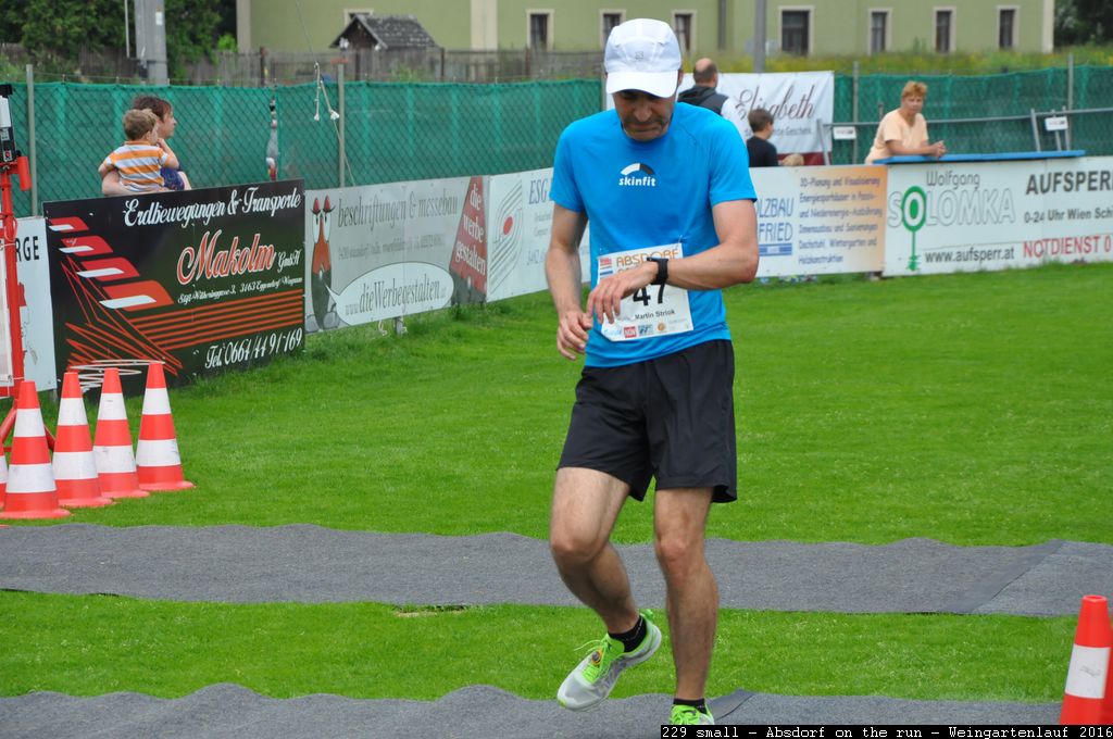 229 small - Absdorf on the run - Weingartenlauf 2016.jpg