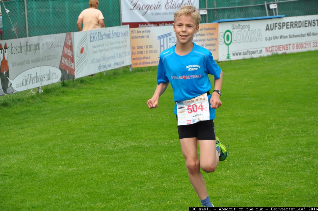 236 small - Absdorf on the run - Weingartenlauf 2016.jpg