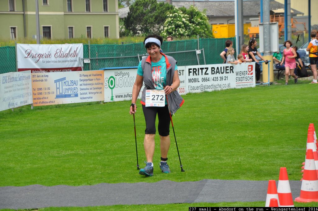 237 small - Absdorf on the run - Weingartenlauf 2016.jpg