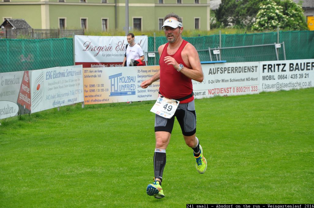 241 small - Absdorf on the run - Weingartenlauf 2016.jpg
